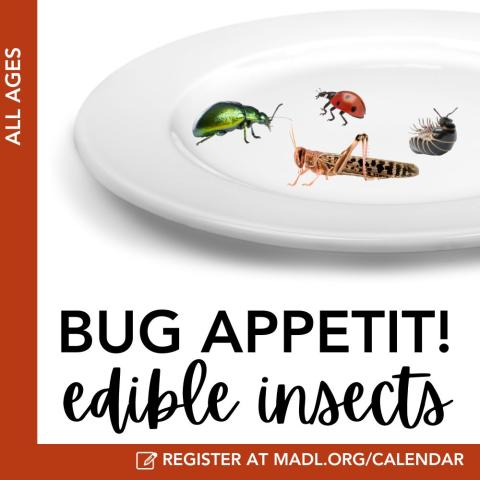 bug appetit