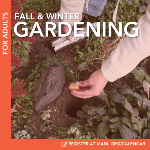 fall and winter gardening