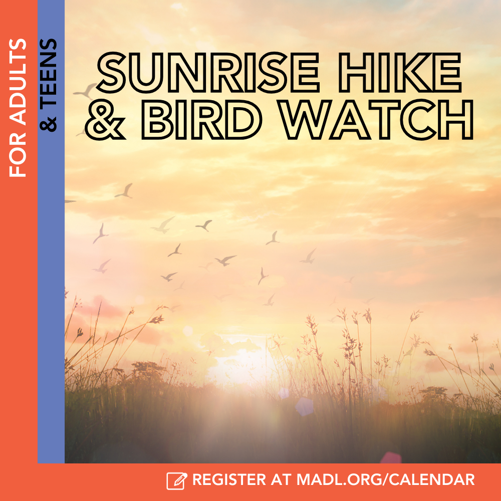 sunrise bird hike